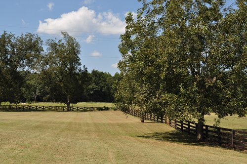 Property photo 10 - 1,575+/- Acres Offered in 23 Tracts